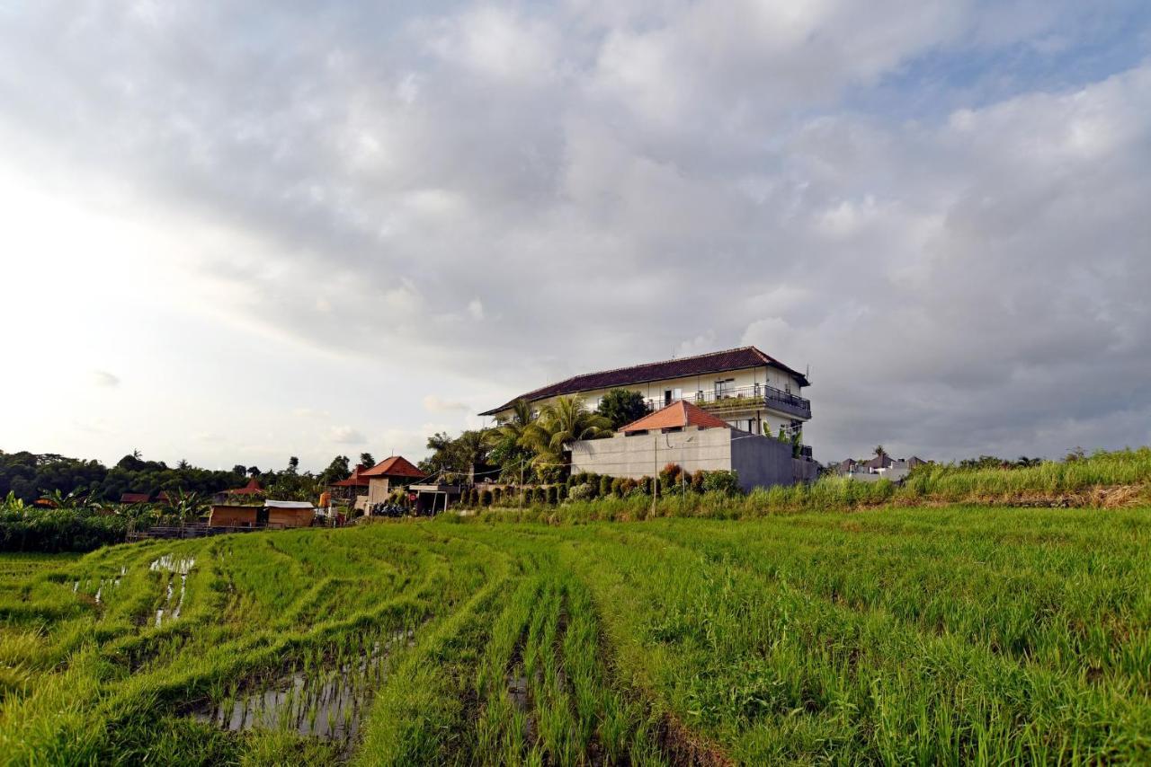 Grandpa Guest House Canggu  Exterior photo